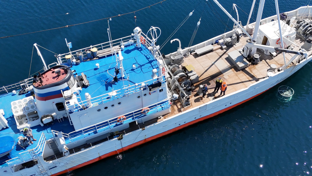 Кар_дрон_Снимок экрана (648)